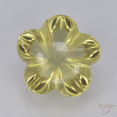 2.68ct Natural Lagoa Amarela Quartzo, Flor cortada, Transparente