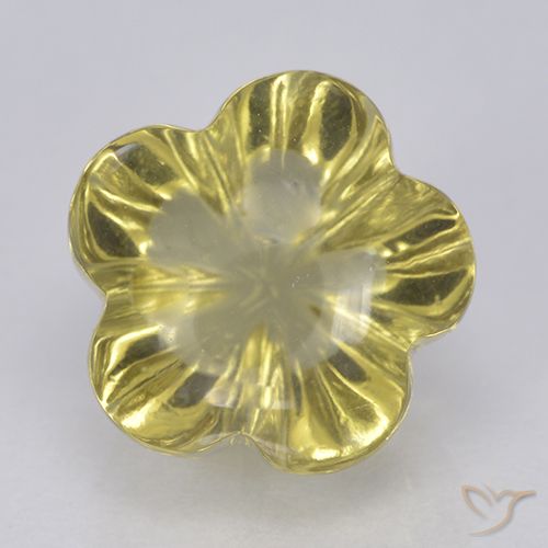 4.47ct Natural Amarelo claro médio Quartzo, Flor cortada, Transparente