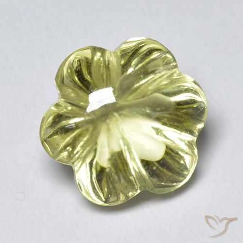 Quartzo amarelo médio Natural 3.58ct, Flor cortada, Transparente