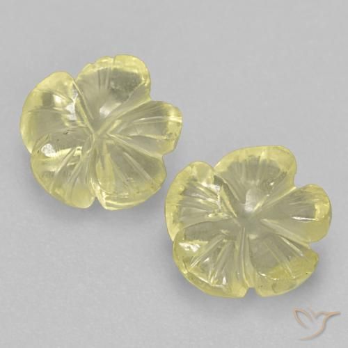3.12ctw Natural Amarelo claro Quartzo, Flor cortada, Transparente