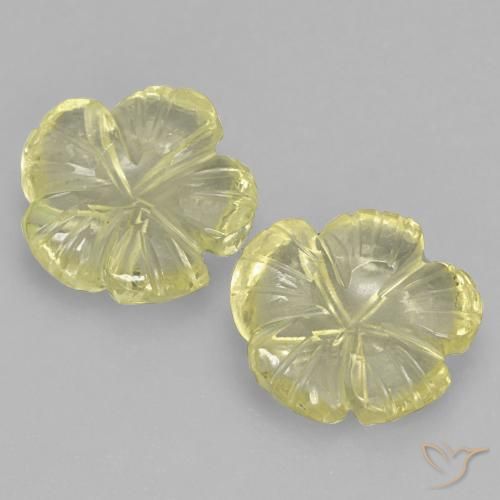 3.71ctw Natural Amarelo claro médio Quartzo, Flor cortada, Transparente