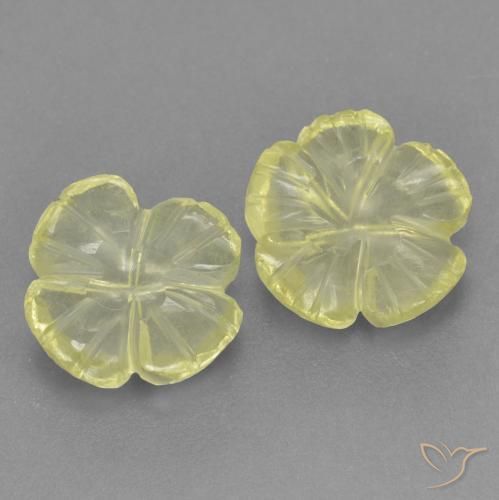 Pedras preciosas de Quartzo Amarelo claro médio natural de 3.51 ct, Flor cortada, Transparente