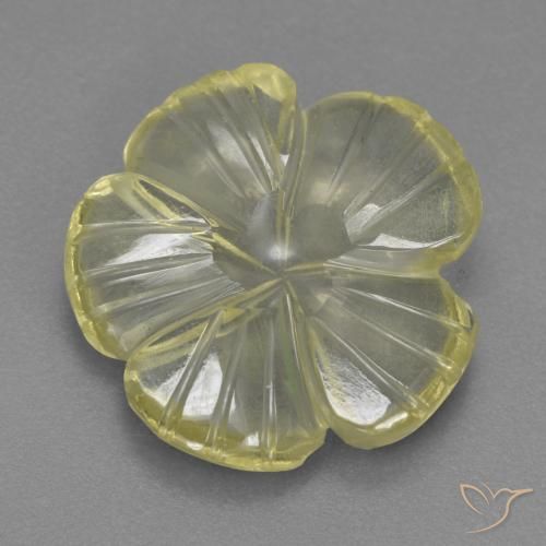 4.58ct Natural Amarelo claro Quartzo, Flor cortada, Transparente