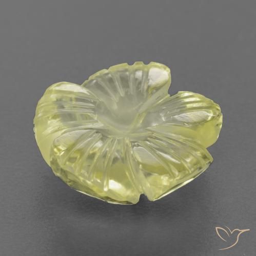 Quartzo amarelo médio Natural 4.58ct, Flor cortada, Transparente