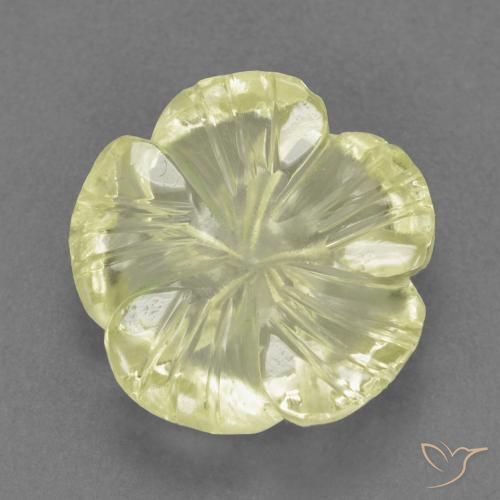 4.66ct Natural Luz amarela Quartzo, Flor cortada, Transparente