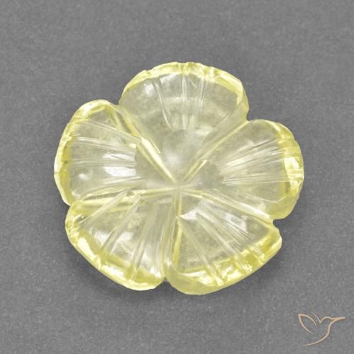 3.51ct Natural Lagoa Amarela Quartzo, Flor cortada, Transparente