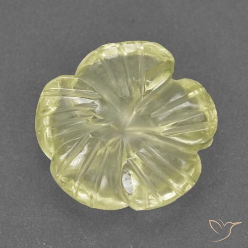 3.72ct Natural Amarelo claro médio Quartzo, Flor cortada, Transparente