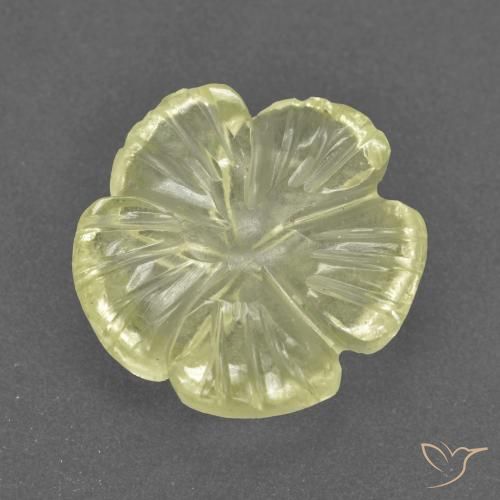 3.31ct Natural Amarelo claro médio Quartzo, Flor cortada, Transparente