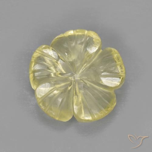 2.59ct Natural Amarelo claro Quartzo, Flor cortada, Transparente