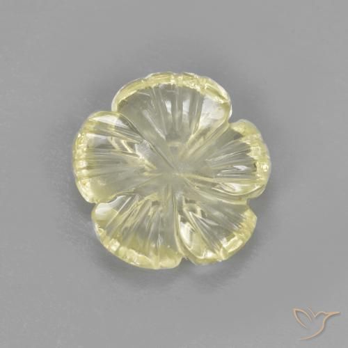 1.64ct Natural Amarelo claro Quartzo, Flor cortada, Transparente