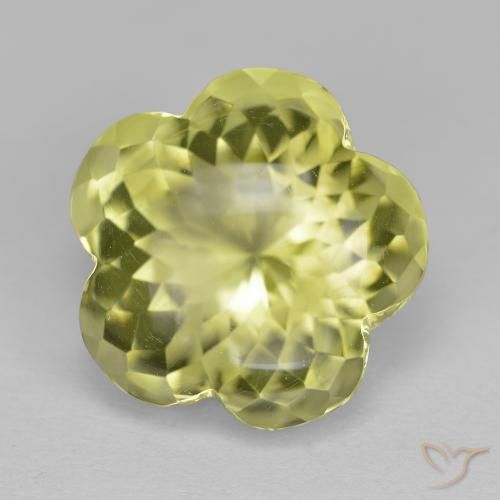 Quartzo amarelo médio Natural 11.33ct, Flor cortada, Transparente