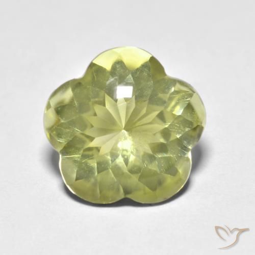 4.69ct Natural amarelo médio Quartzo, Flor cortada, Transparente