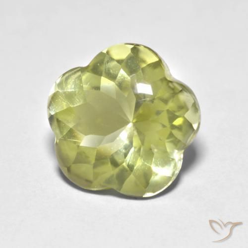 Quartzo amarelo médio Natural 4.69ct, Flor cortada, Transparente