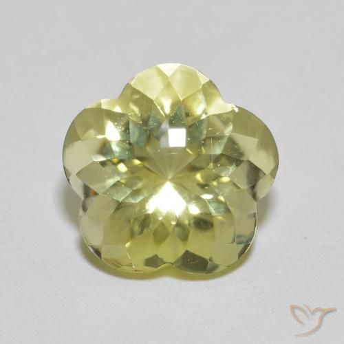 5.10ct Natural Lagoa Amarela Quartzo, Flor cortada, Transparente