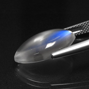 Pedra da Lua Arco-íris Branco azulado Natural 6.99ct, Transparente, Transparente/Translúcido