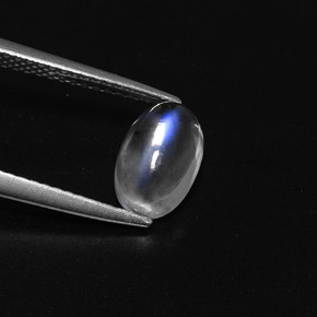 Pedra da lua arco-íris branco natural 1,50ct, corte oval, transparente