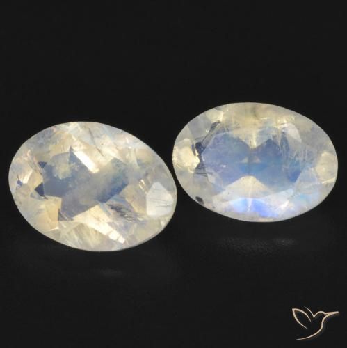 Pedras preciosas de Pedra da Lua Arco-Íris Branco azulado natural de 1.45 ct, oval, Transparente