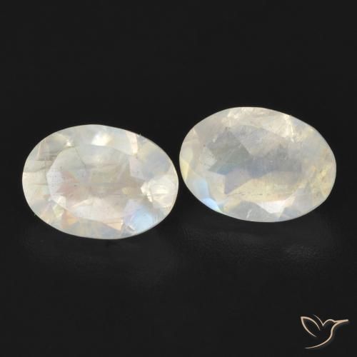 Pedras preciosas de Pedra da Lua Arco-Íris Branco azulado natural de 1.55 ct, oval, Transparente
