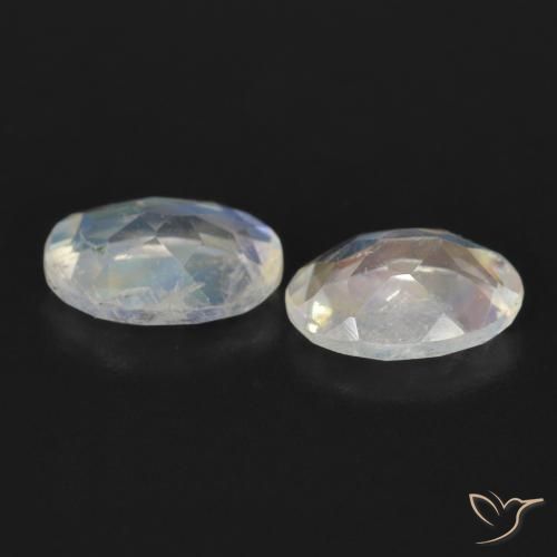 Pedras preciosas de Pedra da Lua Arco-Íris Branco azulado natural de 1.41 ct, oval, Transparente