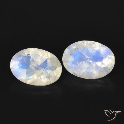 Pedras preciosas de Pedra da Lua Arco-Íris Branco azulado natural de 1.48 ct, oval, Transparente