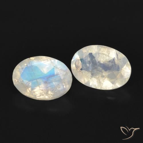 Pedras preciosas de Pedra da Lua Arco-Íris Branco azulado natural de 1.53 ct, oval, Transparente