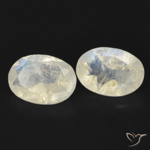 Pedras preciosas de Pedra da Lua Arco-Íris Branco azulado natural de 1.29 ct, oval, Transparente
