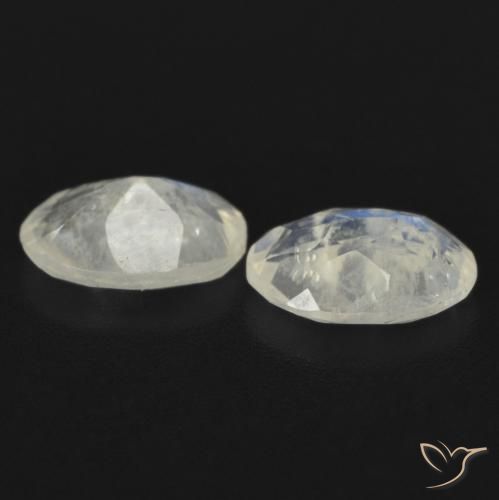 Pedras preciosas de Pedra da Lua Arco-Íris Branco azulado natural de 1.24 ct, oval, Transparente