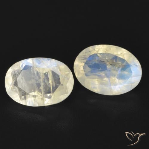 Pedras preciosas de Pedra da Lua Arco-Íris Branco azulado natural de 1.52 ct, oval, Transparente