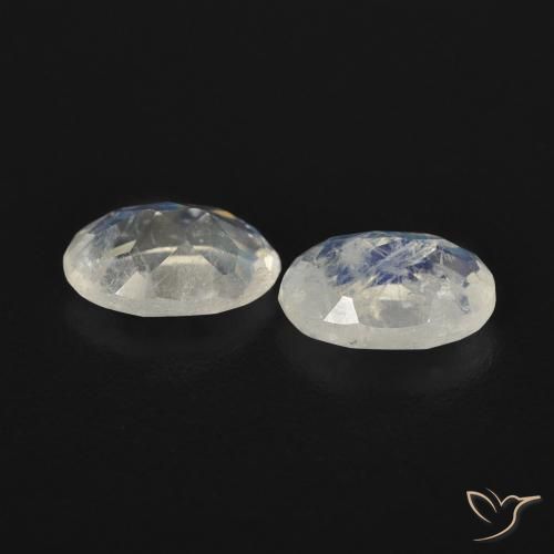 Pedras preciosas de Pedra da Lua Arco-Íris Branco azulado natural de 0.88 ct, oval, Transparente