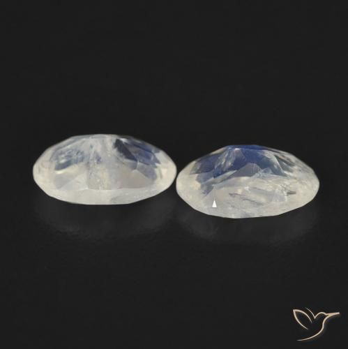 Pedras preciosas de Pedra da Lua Arco-Íris Branco azulado natural de 0.76 ct, oval, Transparente