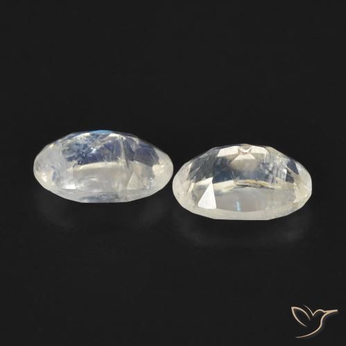 Pedras preciosas de Pedra da Lua Arco-Íris Branco azulado natural de 0.80 ct, oval, Transparente