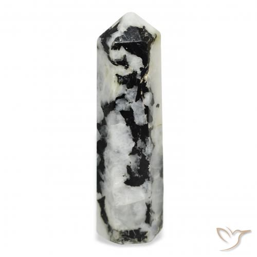 43.34ct Natural branco com preto Pedra da Lua Arco-Íris, Chique, Opaco