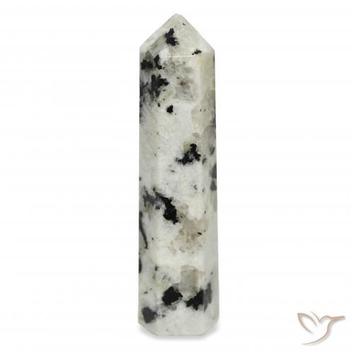 45.95ct Natural branco com preto Pedra da Lua Arco-Íris, Chique, Opaco