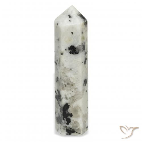 48.76ct Natural branco com preto Pedra da Lua Arco-Íris, Chique, Opaco