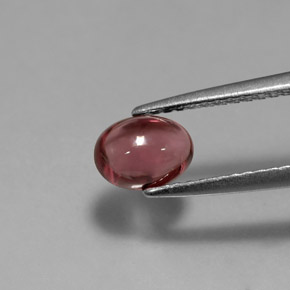 Granada Rodolita Vermelho Natural 1,11ct, Transparente, Transparente/Translúcido