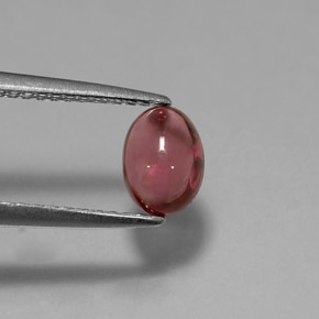 Granada Rodolita Vermelho Natural 1,11ct, Transparente, Transparente/Translúcido