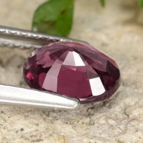 rodolita granada Roxo profundo Natural 1.39ct, oval, VS