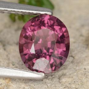 Granada rodolita roxo natural 1,37ct, corte oval, VS