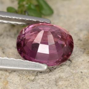 Granada rodolita roxo natural 1,37ct, corte oval, VS