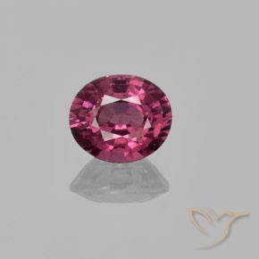 1.43ct Natural roxo médio rodolita granada, oval, VS