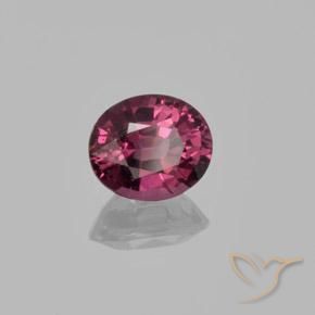 rodolita granada Roxo profundo Natural 1.37ct, oval, VS