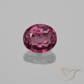 1.37ct Natural Roxo médio-escuro rodolita granada, oval, VS