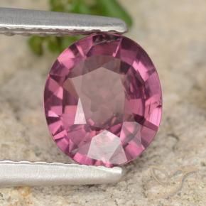 rodolita granada Roxo rosado Natural 1.23ct, oval, VS