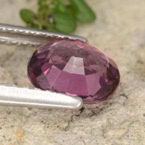 rodolita granada Roxo rosado Natural 1.23ct, oval, VS