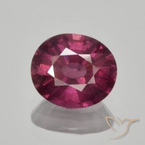 1.65ct Natural Roxo médio-escuro rodolita granada, oval, VS