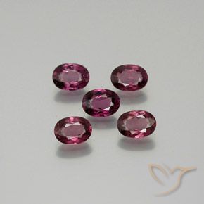 Pedras preciosas de rodolita granada Roxo profundo natural de 5.27 ct, oval, VS