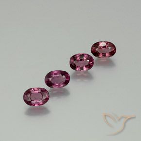 3.84ctw Natural Roxo médio-escuro rodolita granada, oval, VS