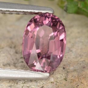 Rodolita Granada framboesa vermelha Natural 1.42ct, Corte Oval, VVS-VS