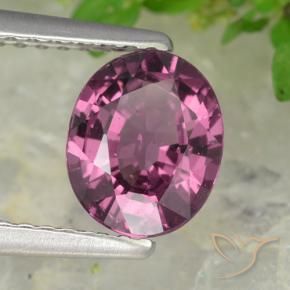 Granada rodolita roxo natural 1,38ct, corte oval, VS