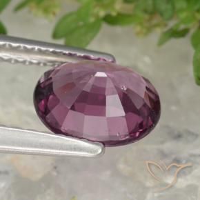 Granada rodolita roxo natural 1,38ct, corte oval, VS